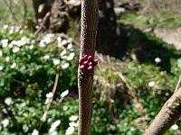 2010-04-16_10-52-38_0014