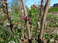 2010-05-05_07-41-06_0017