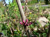 2010-05-11_07-11-29_0013