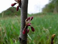 2010-05-13_07-46-45_0046