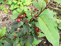 2011-08-23_10-24-21_0098