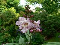 01-06-2007_09-42-35_07