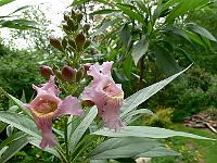 24-05-2007_14-18-52_136
