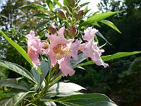 25-05-2007_18-23-36_55