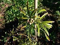 2009-04-25_07-44-05_0137