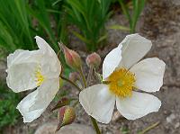 01-06-2007_14-27-26_205