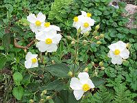 11-07-05kodak_013