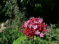 31-07-2007_15-46-23_56