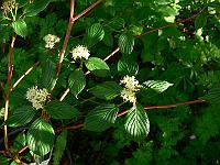 09-05-2007_18-45-51_05
