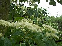 17-06-0kodak_095
