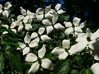 10-06-2007_10-00-22_58
