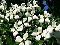 10-06-2007_10-00-41_63