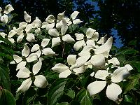 10-06-2007_10-00-45_64