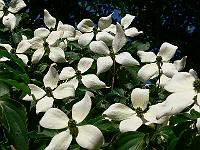 10-06-2007_10-01-20_73