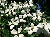 10-06-2007_10-01-39_78