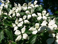 10-06-2007_10-01-42_79