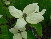 2010-06-17_08-20-23_0022
