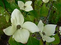 2010-06-22_14-34-36_0031