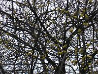 12-04-05canon_042