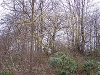 12-04-05kodak_124