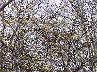 12-04-05kodak_127