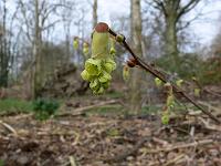 2011-04-15_08-29-31_0061