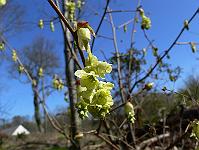 2011-04-18_11-06-03_0019