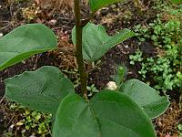 2010-07-13_08-38-22_0079