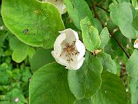 09-06-2006_10-50-31_40