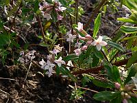 2011-04-21_17-13-31_0296