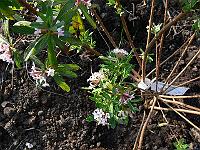 2011-04-22_08-20-24_0099