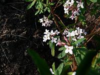 2011-04-22_08-20-41_0105