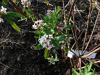 2011-04-22_08-20-50_0108