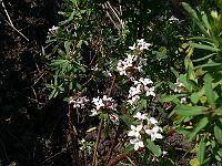2011-04-24_08-39-43_0184