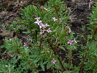 2011-05-17_10-09-16_0074
