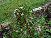 2011-05-17_10-09-36_0080