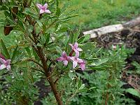 2011-05-17_10-09-44_0082