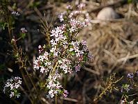 2012-05-25_08-53-08_0214