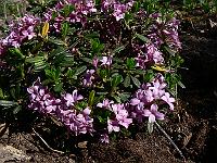 2011-04-24_13-43-12_0029
