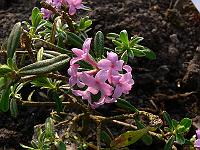 2011-04-21_17-15-17_0316
