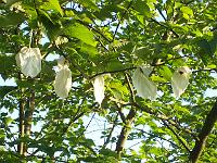 27-05-05kodak_047