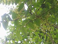 01-06-05canon_248