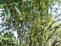 03-06-05canon_219