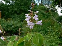 2011-06-12_09-16-39_0034