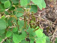 2011-08-24_09-59-05_0089