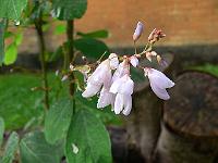 2011-09-05_08-40-08_0067