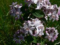 2010-06-21_13-20-06_0080