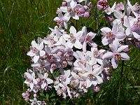 2010-06-21_13-20-21_0084