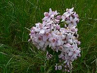 2010-06-22_14-22-10_0029