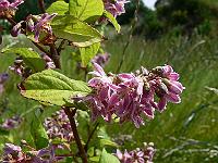 2010-07-04_09-27-11_0007